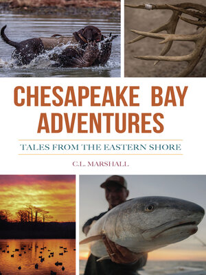 cover image of Chesapeake Bay Adventures